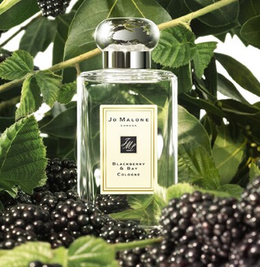 Shop for Blackberry & Bay