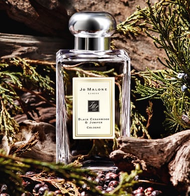 Shop for Black Cedarwood & Juniper