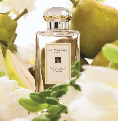 Shop for English Pear & Freesia